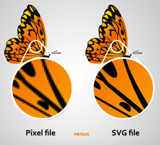 Blog What is an SVG?